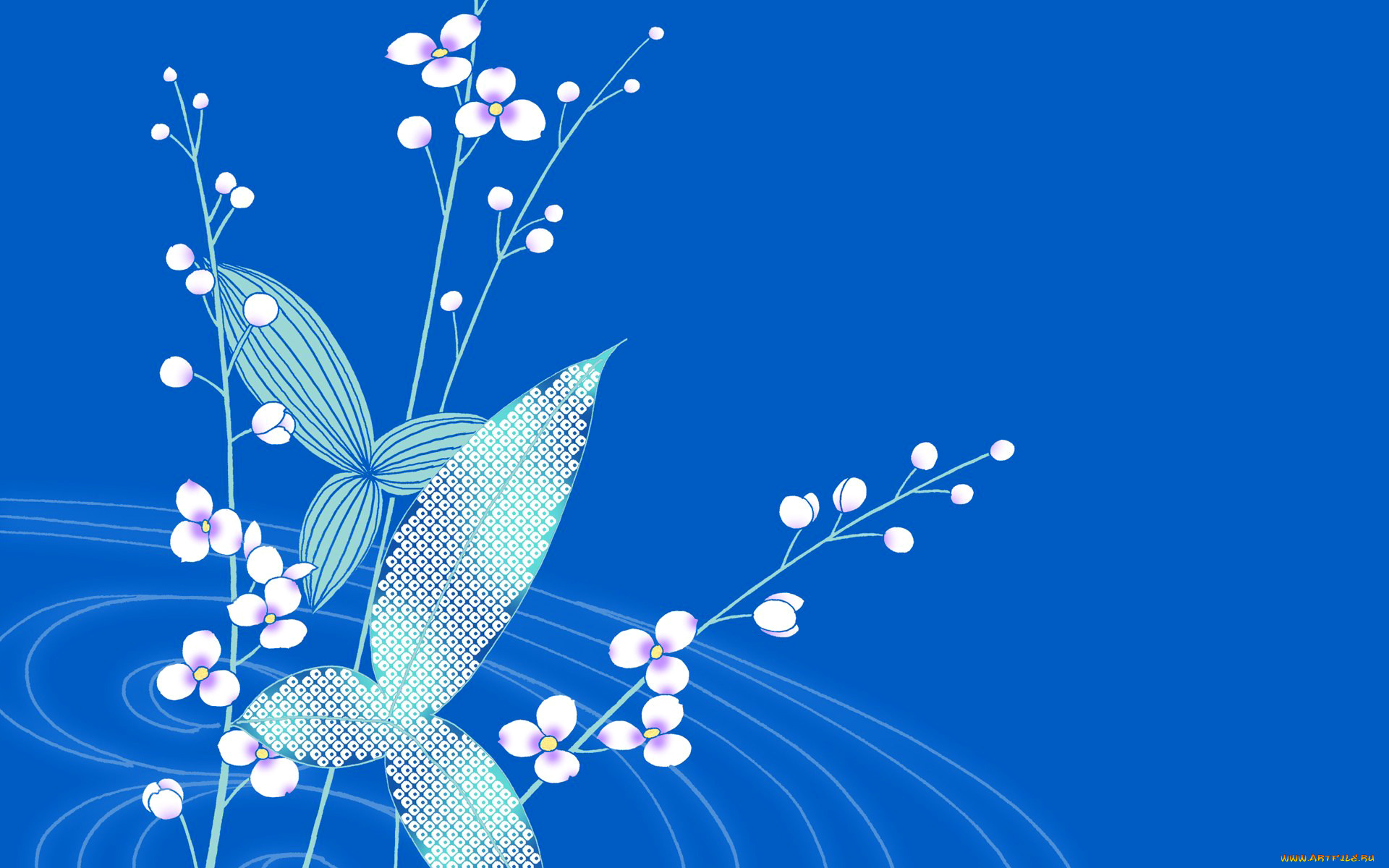  ,  , flowers, , 